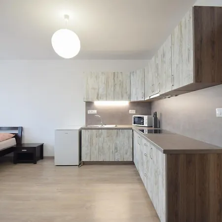 Zlatovska 22b Daire *